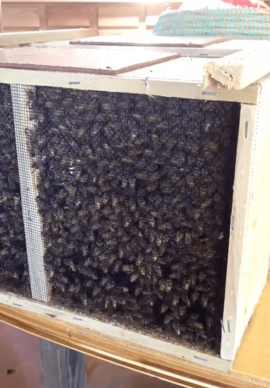 Screen shot 2015-04-14 at 8.05.41 PM